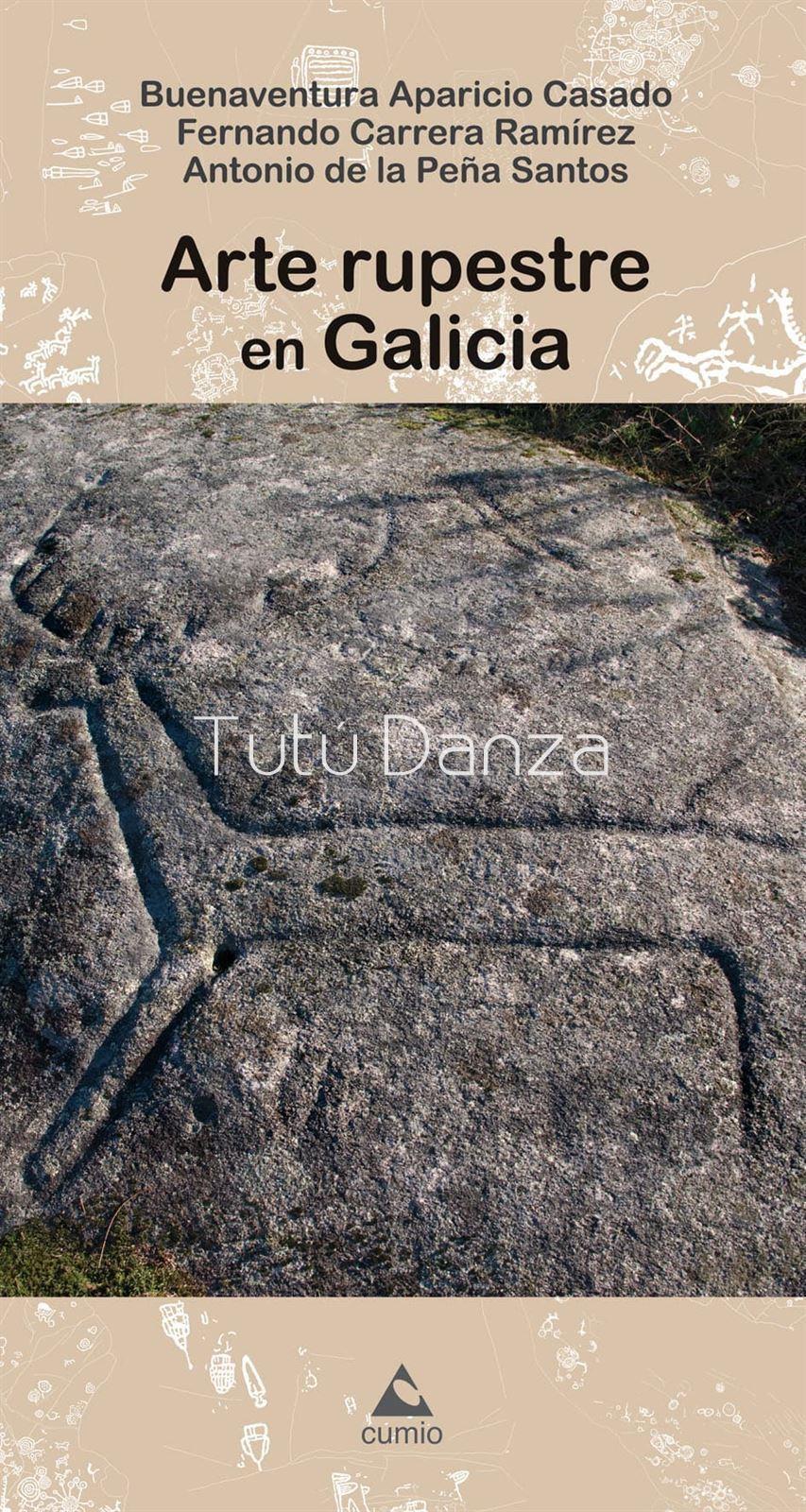 Libro. Arte rupestre en Galicia - Imagen 1